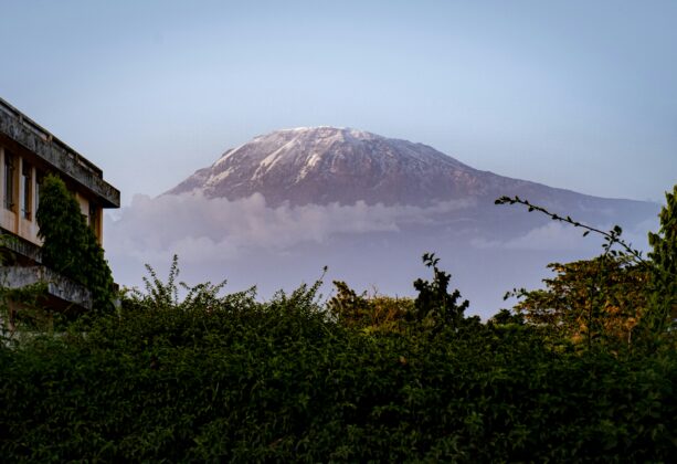 featured-image
