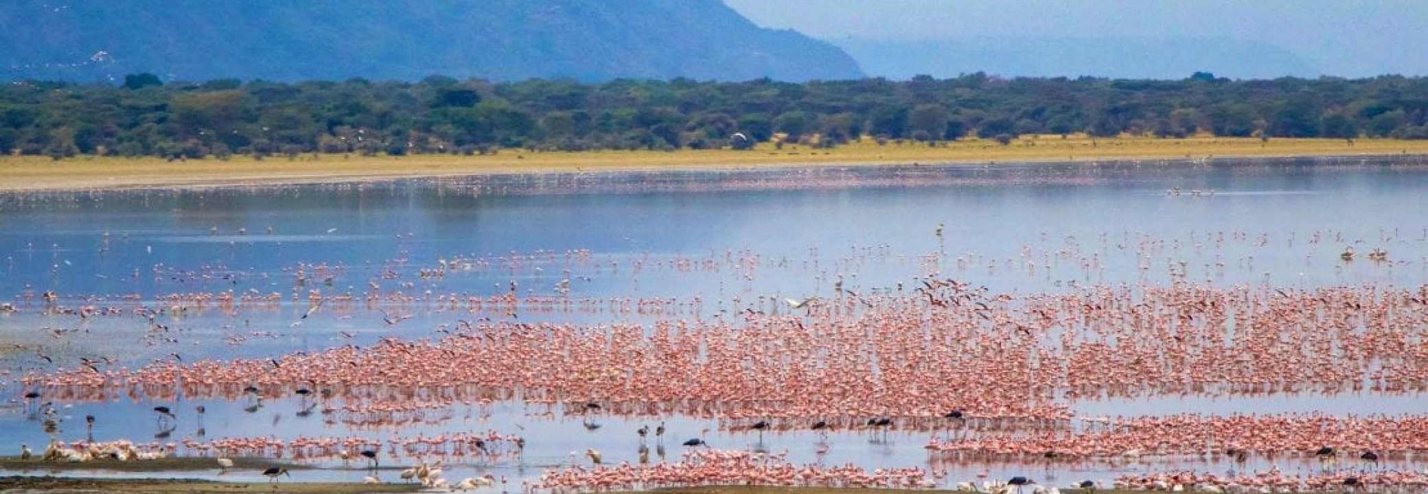 lake-manyara-1-1110x700